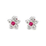 KOLCZYKI
